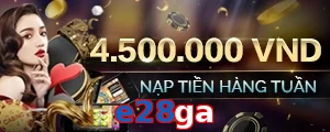 e28ga